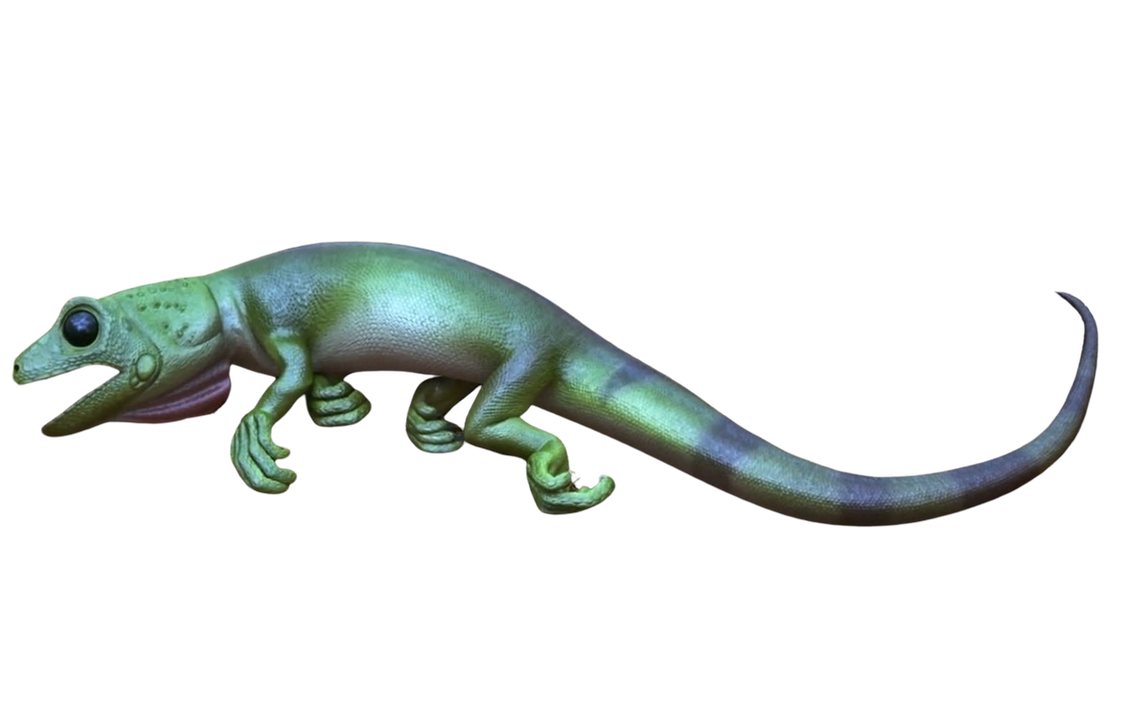 Lizard by DracoAwesomeness on DeviantArt