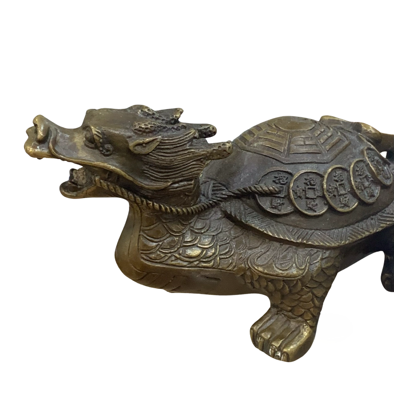 Turtle dragon by DracoAwesomeness on DeviantArt