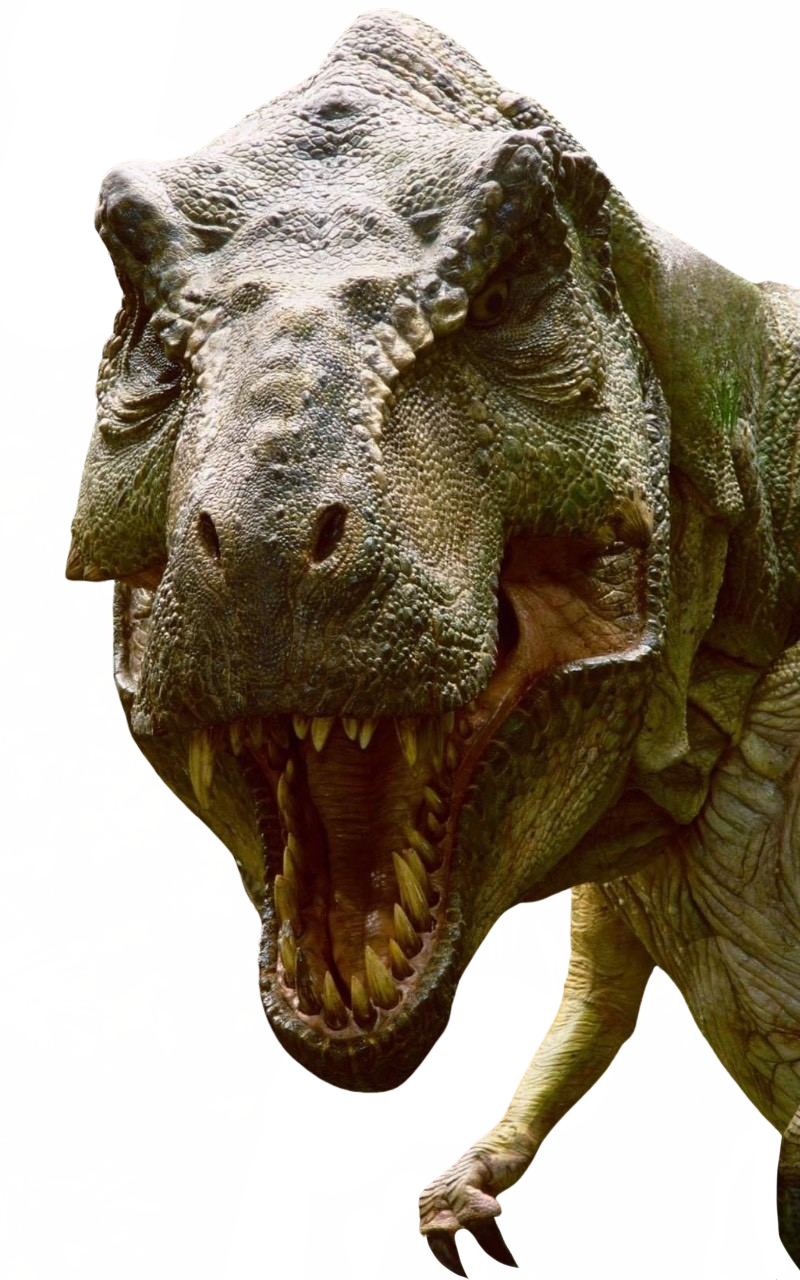 T Rex R Image T. rex by DracoAwesomeness on DeviantArt