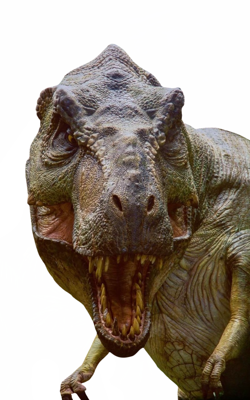 T Rex R Image T. rex by DracoAwesomeness on DeviantArt