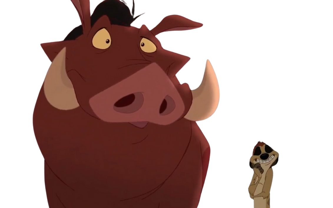 Timon and pumbaa by DracoAwesomeness on DeviantArt