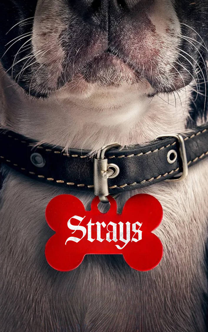 Strays edited poster by DracoAwesomeness on DeviantArt