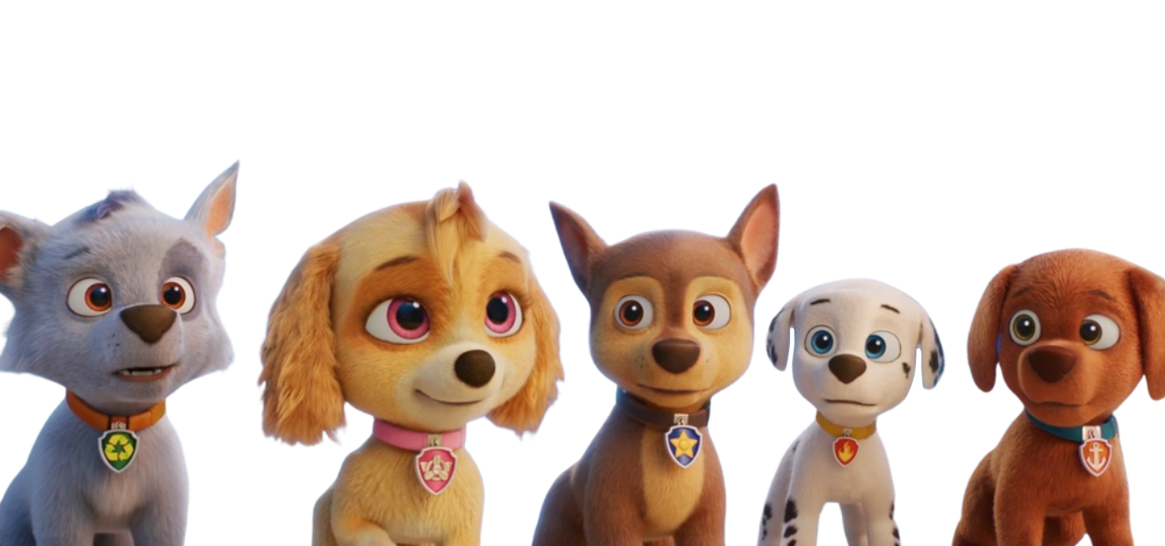 Chase best sale rocky zuma