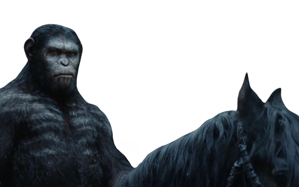 Caesar rides a horse by DracoAwesomeness on DeviantArt