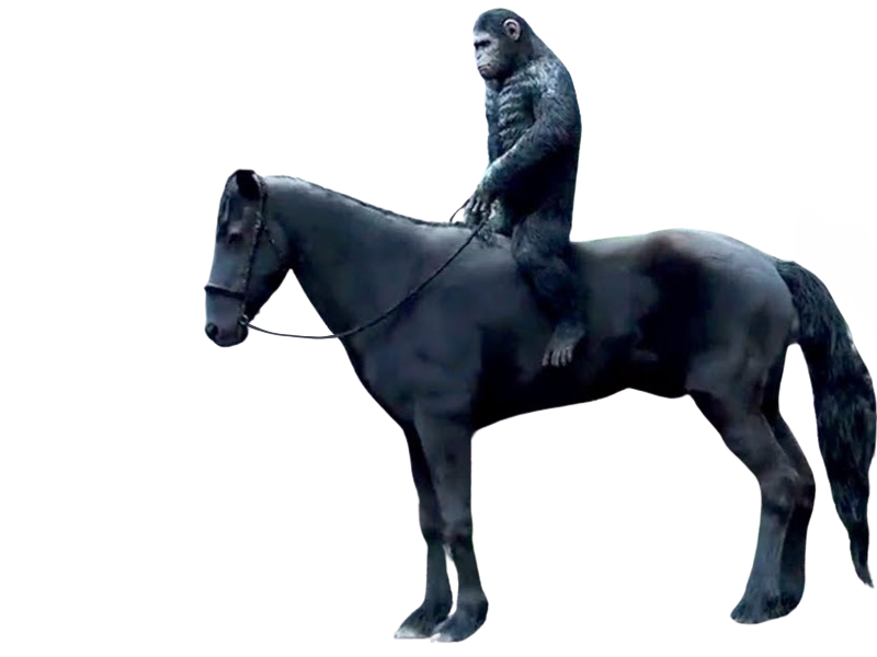 Caesar rides a horse by DracoAwesomeness on DeviantArt