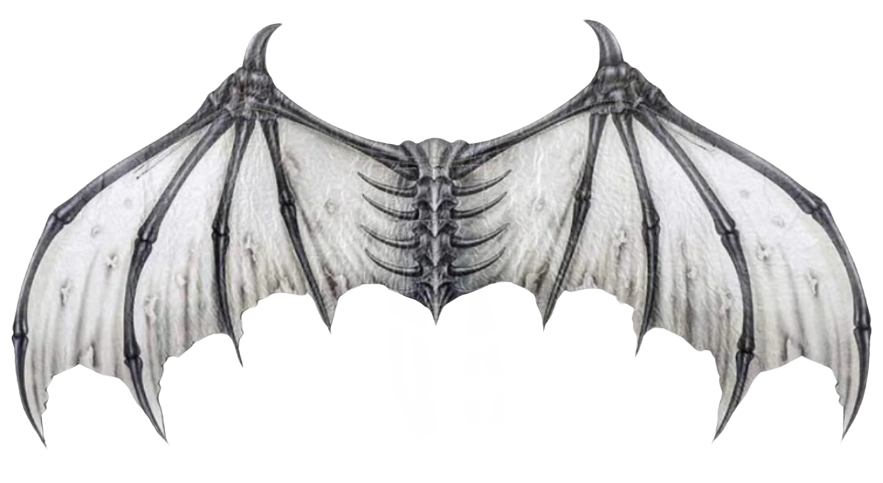 Skkeleton Wing Skeleton wings by DracoAwesomeness on DeviantArt
