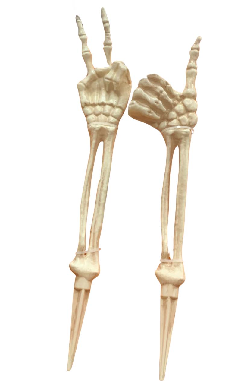 Real Hand Cut Real Skeleton Hand