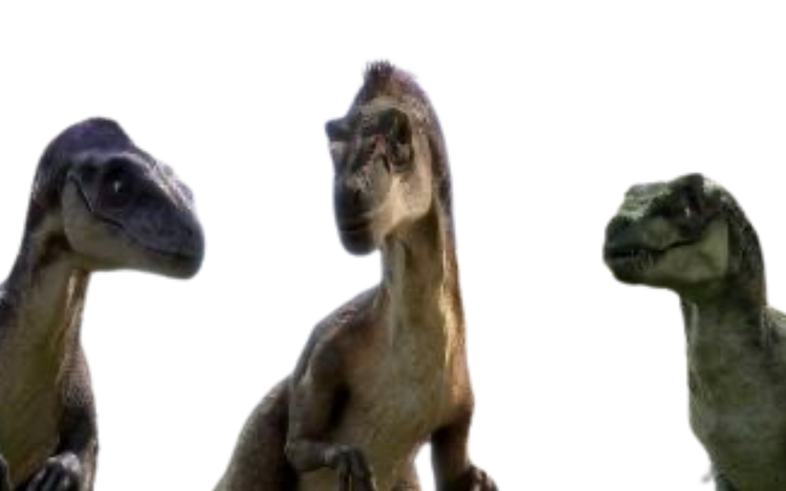 Valorous Raptors Raptors by DracoAwesomeness on DeviantArt