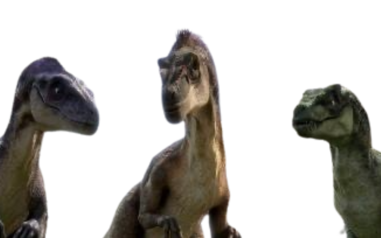 Raptors by DracoAwesomeness on DeviantArt