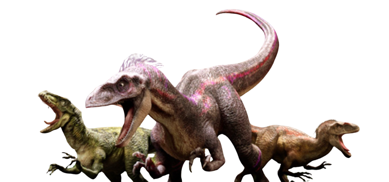 Three Raptors Raptors by DracoAwesomeness on DeviantArt
