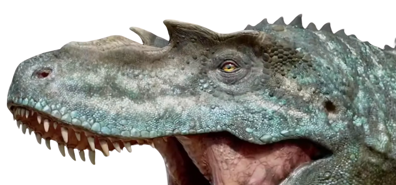 Gorgosaurus Head By DracoAwesomeness On DeviantArt gorgosaurus-head-by-dracoawesomeness-on-deviantart