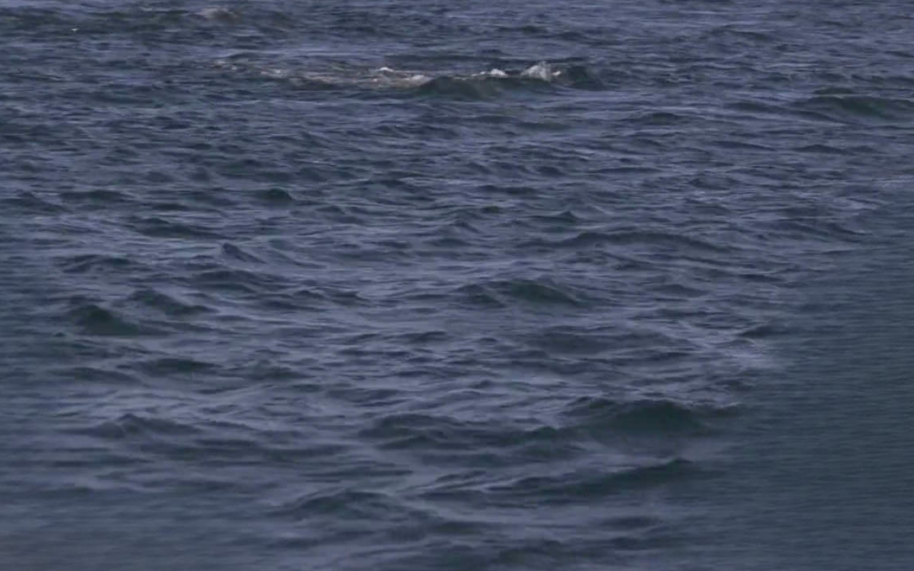 Deviantart Ocean Background The ocean by DracoAwesomeness on DeviantArt