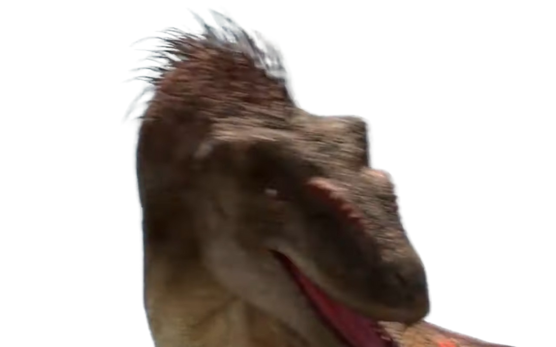 Raptor by DracoAwesomeness on DeviantArt