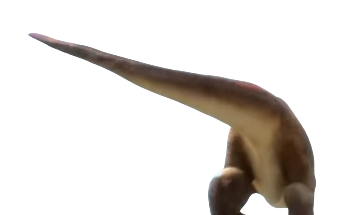 Raptor tail by DracoAwesomeness on DeviantArt