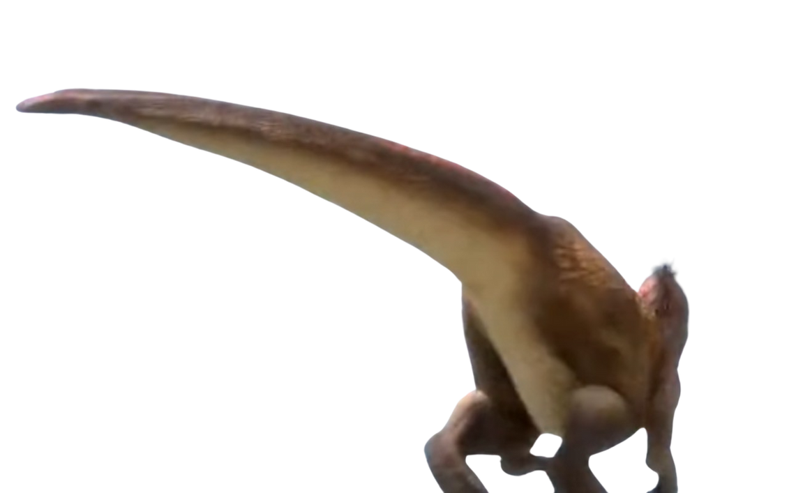 Raptor tail by DracoAwesomeness on DeviantArt