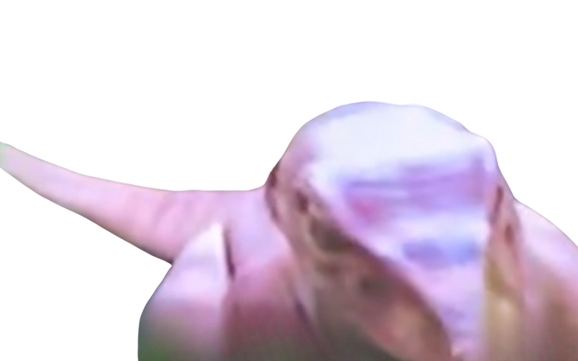 Raptor by DracoAwesomeness on DeviantArt