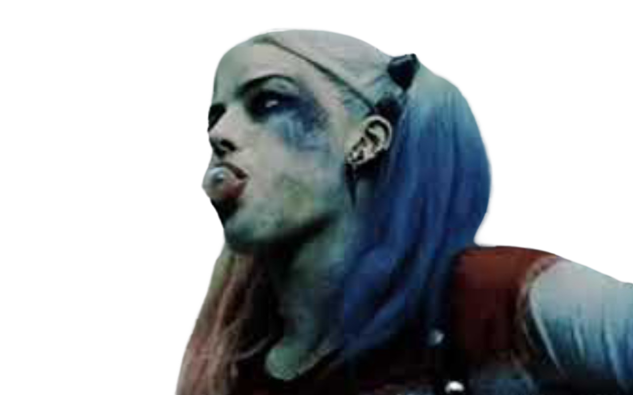 Birds of Prey Harley Quinn PNG by Metropolis-Hero1125 on DeviantArt