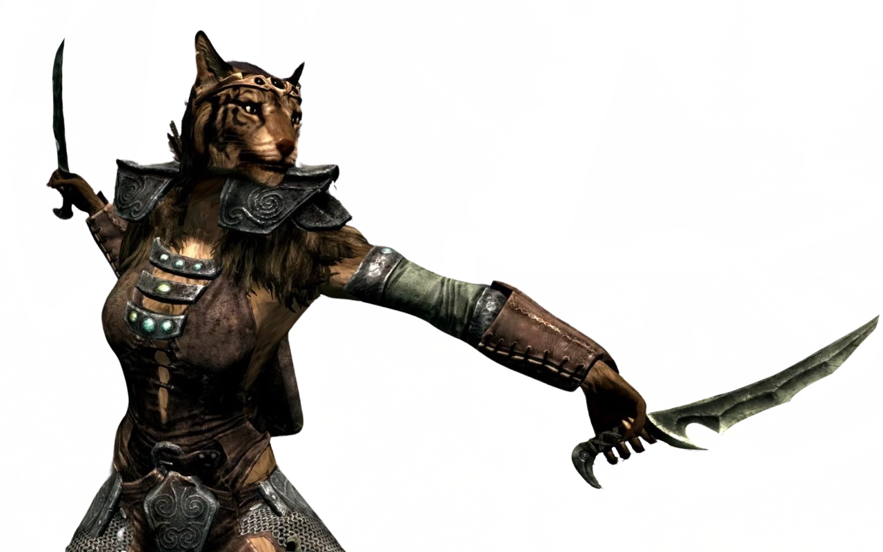 Beast Kin Kajit Khajiit by DracoAwesomeness on DeviantArt
