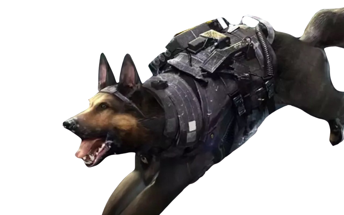 Riley by DracoAwesomeness on DeviantArt