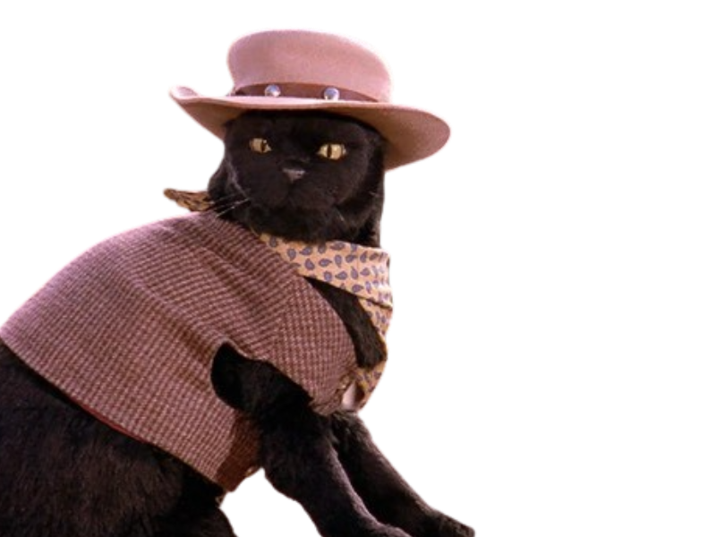 Salem cat by DracoAwesomeness on DeviantArt