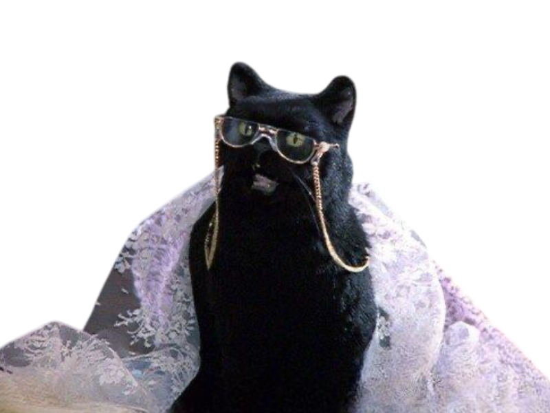 Salem cat by DracoAwesomeness on DeviantArt