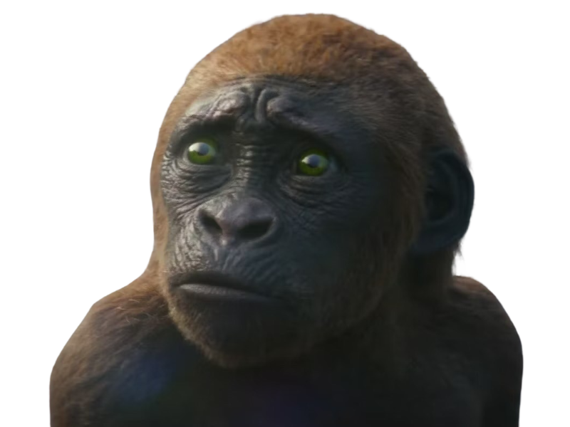 Suko by DracoAwesomeness on DeviantArt