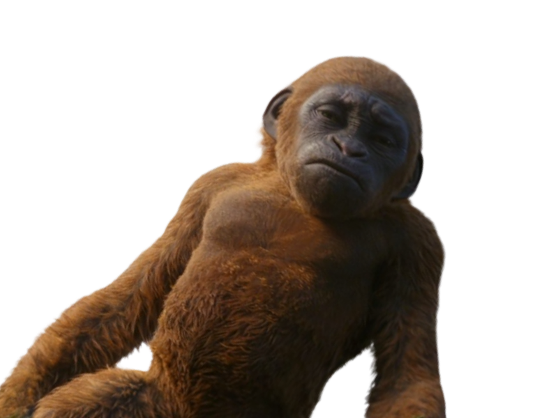 Suko by DracoAwesomeness on DeviantArt