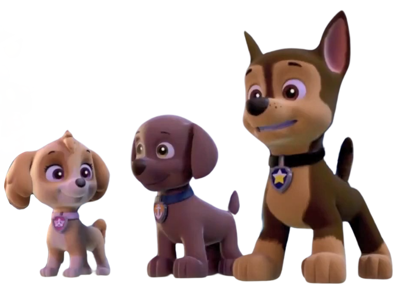 Chase zuma deals skye