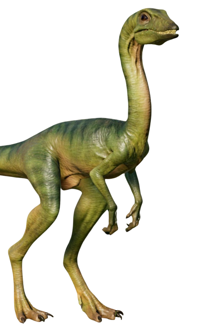 Compy by DracoAwesomeness on DeviantArt