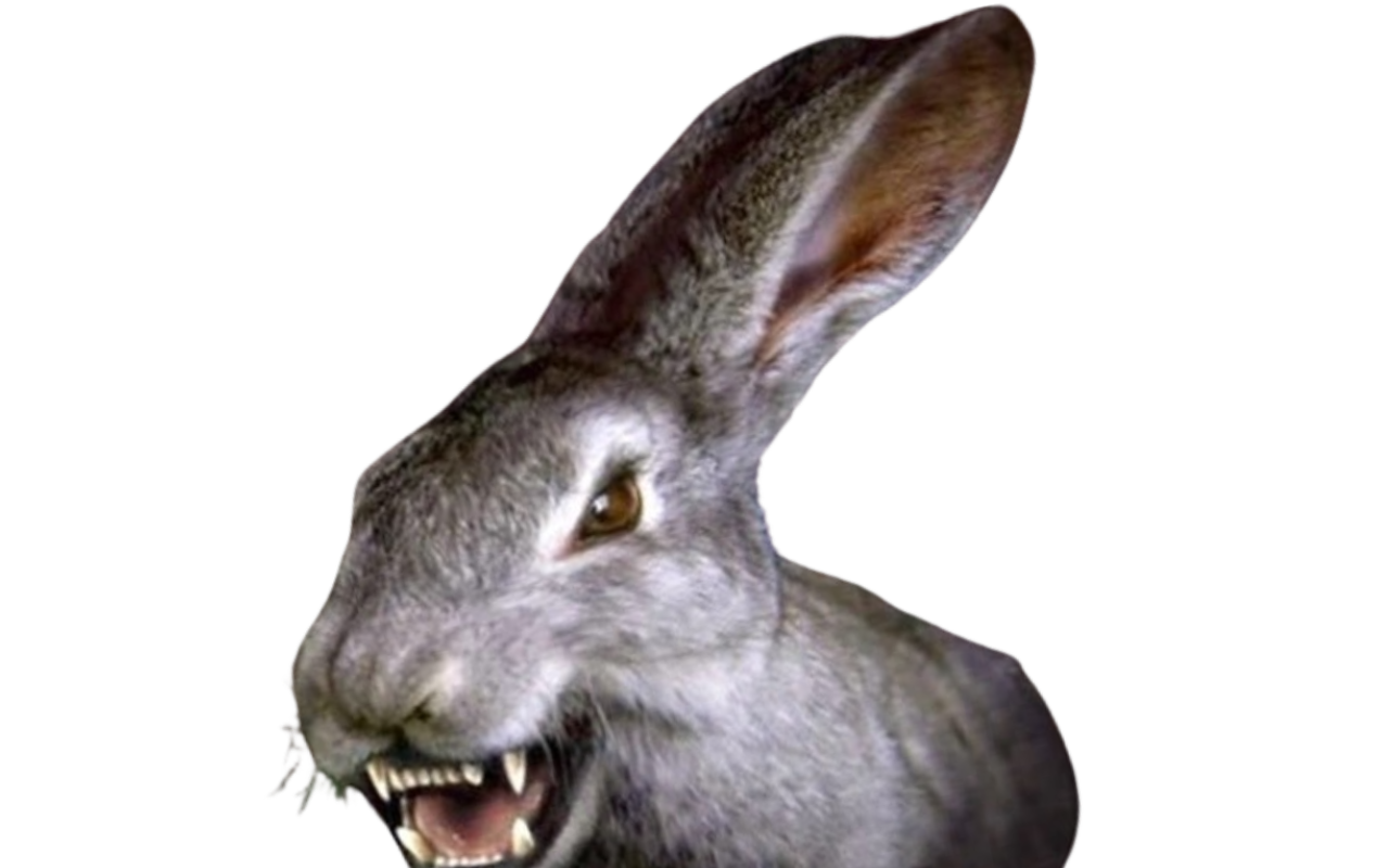 Savage rabbit by DracoAwesomeness on DeviantArt