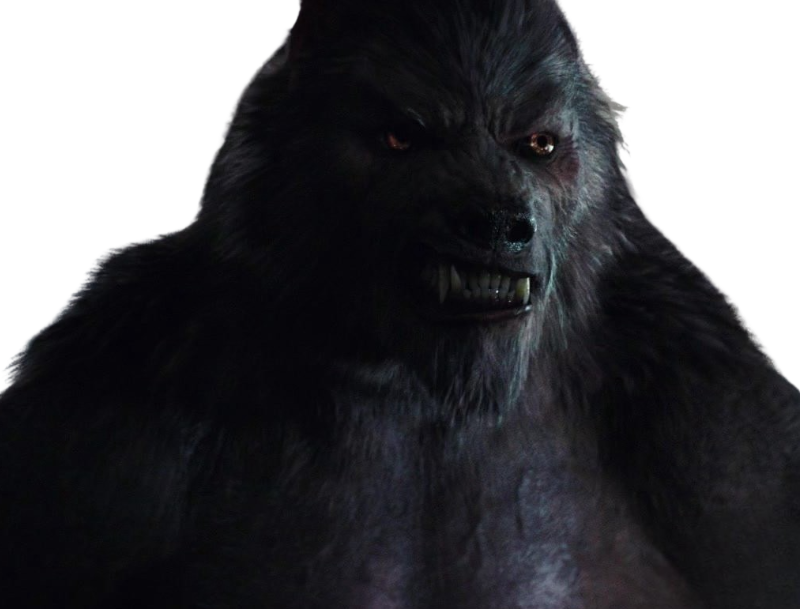 Colorado Werewolf Werewolf by DracoAwesomeness on DeviantArt