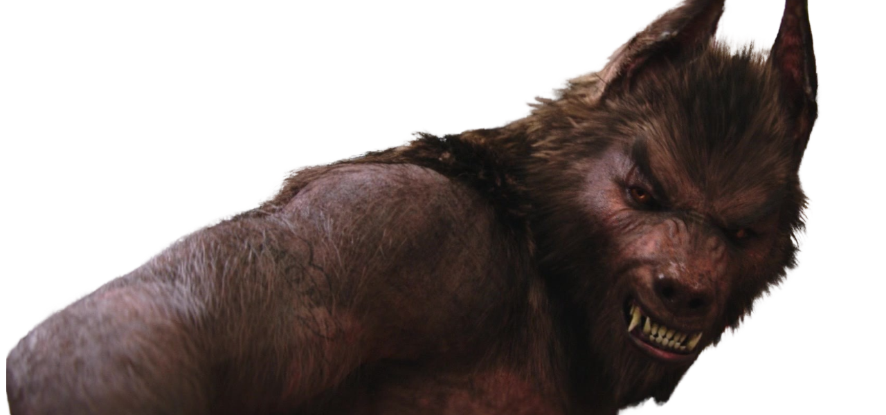 Colorado Werewolf Werewolf by DracoAwesomeness on DeviantArt