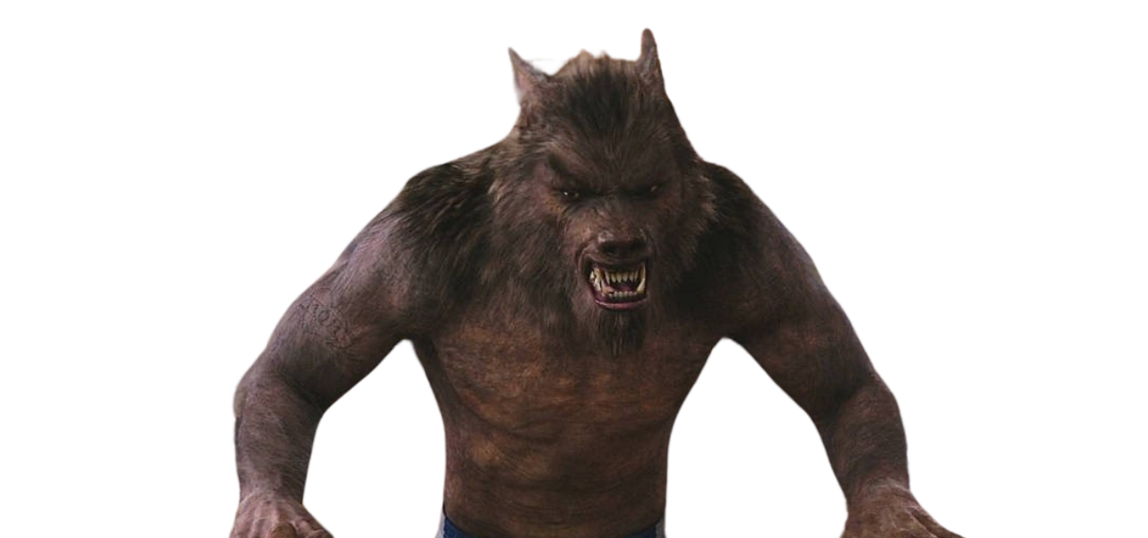 Colorado Werewolf Werewolf by DracoAwesomeness on DeviantArt