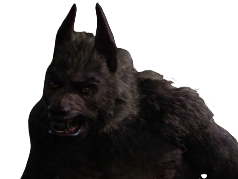 Colorado Werewolf Werewolf by DracoAwesomeness on DeviantArt