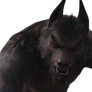 Werewolf 