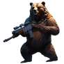 Bear hunter 