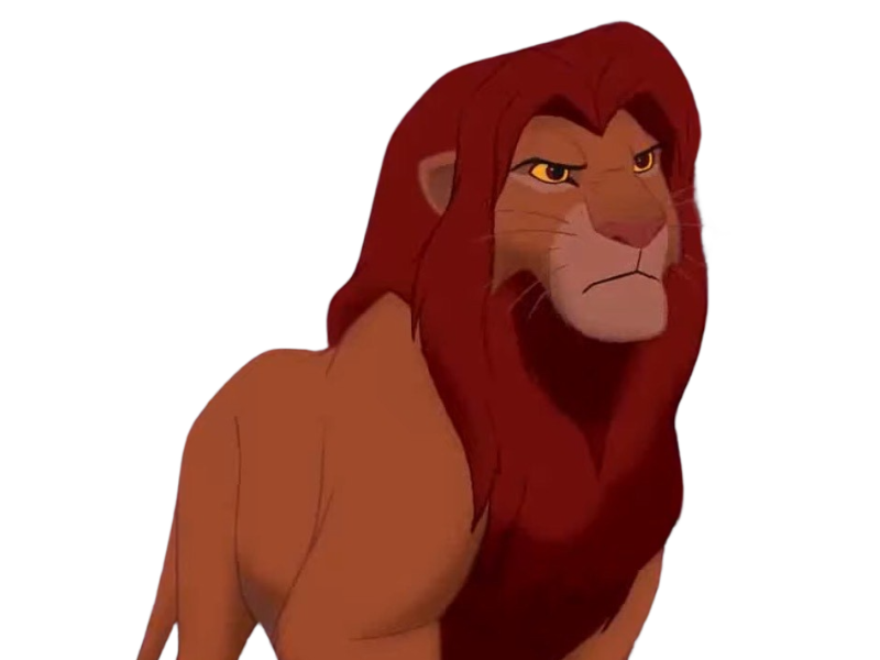 Simba by DracoAwesomeness on DeviantArt