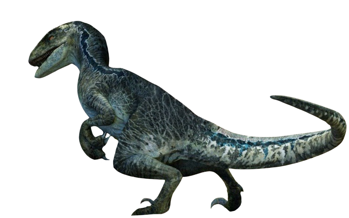 Beta by DracoAwesomeness on DeviantArt