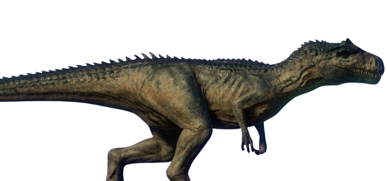 Callosaurus Allosaurus by DracoAwesomeness on DeviantArt