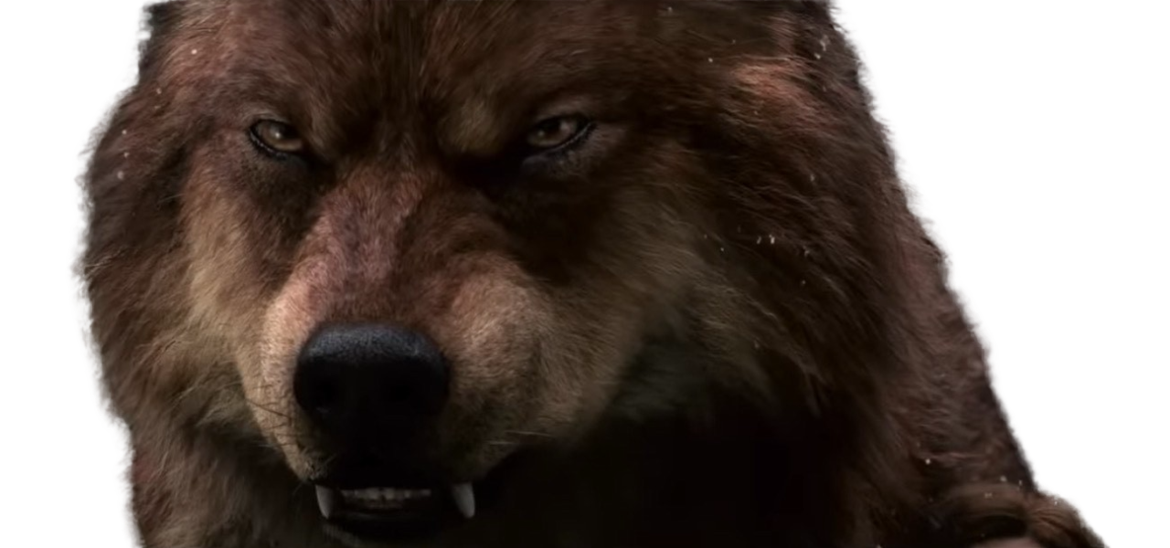 Colorado Werewolf Werewolf by DracoAwesomeness on DeviantArt