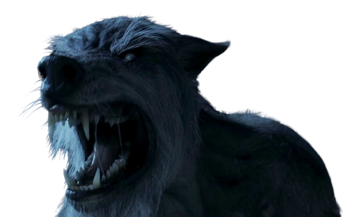 Colorado Werewolf Werewolf by DracoAwesomeness on DeviantArt