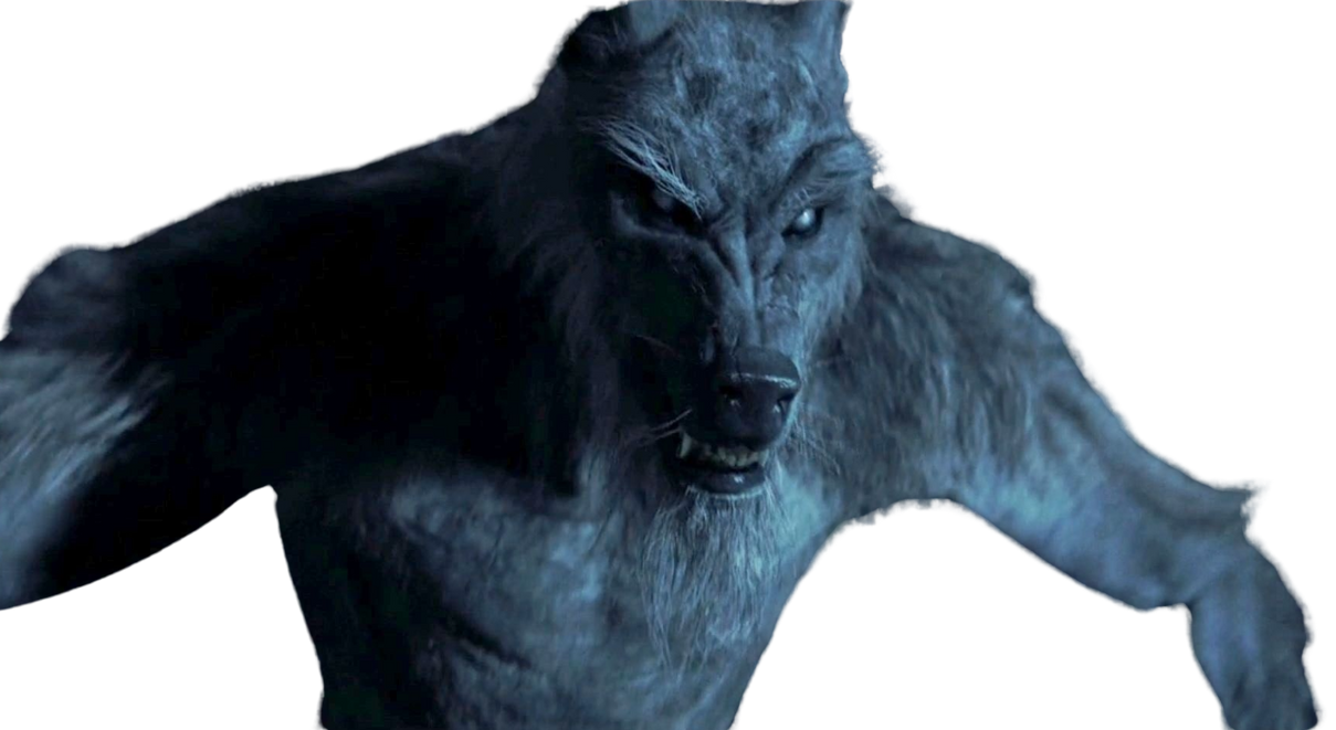Colorado Werewolf Werewolf by DracoAwesomeness on DeviantArt