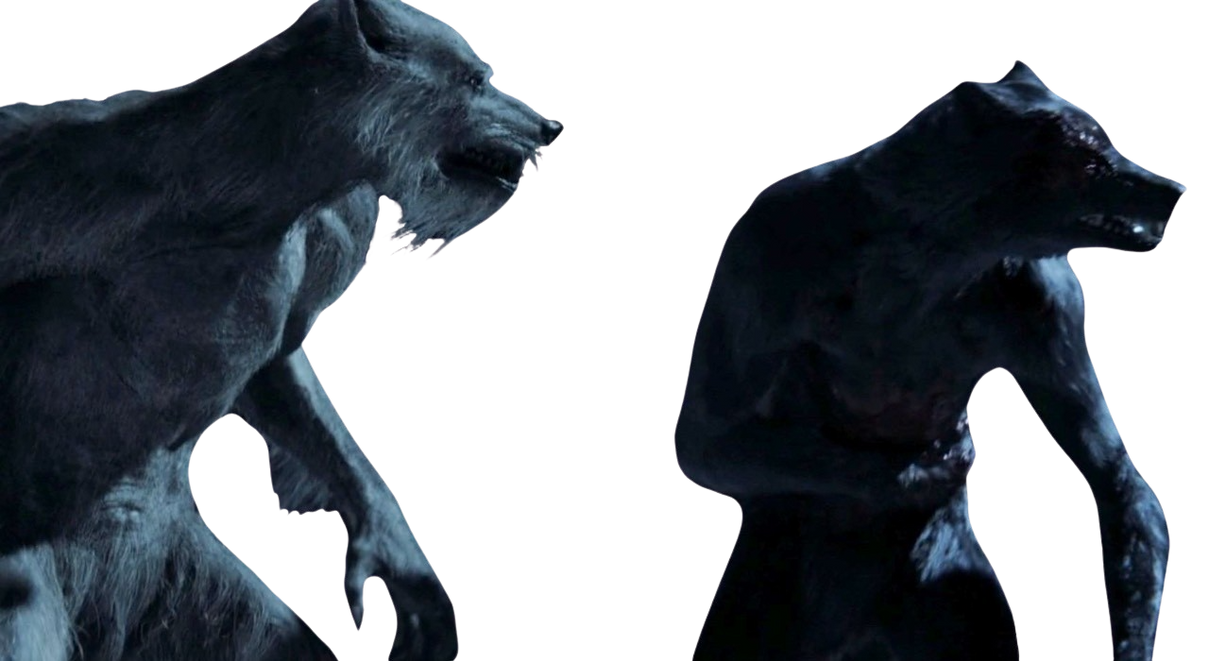 Colorado Werewolf Werewolves by DracoAwesomeness on DeviantArt