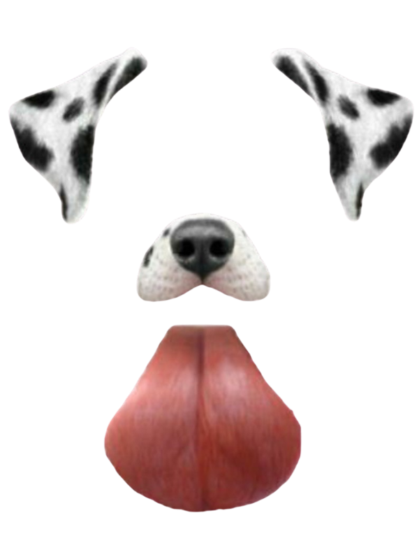 Snapchat dog filter by DracoAwesomeness on DeviantArt