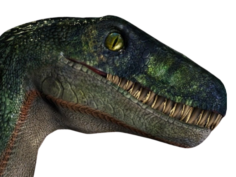 Raptor by DracoAwesomeness on DeviantArt