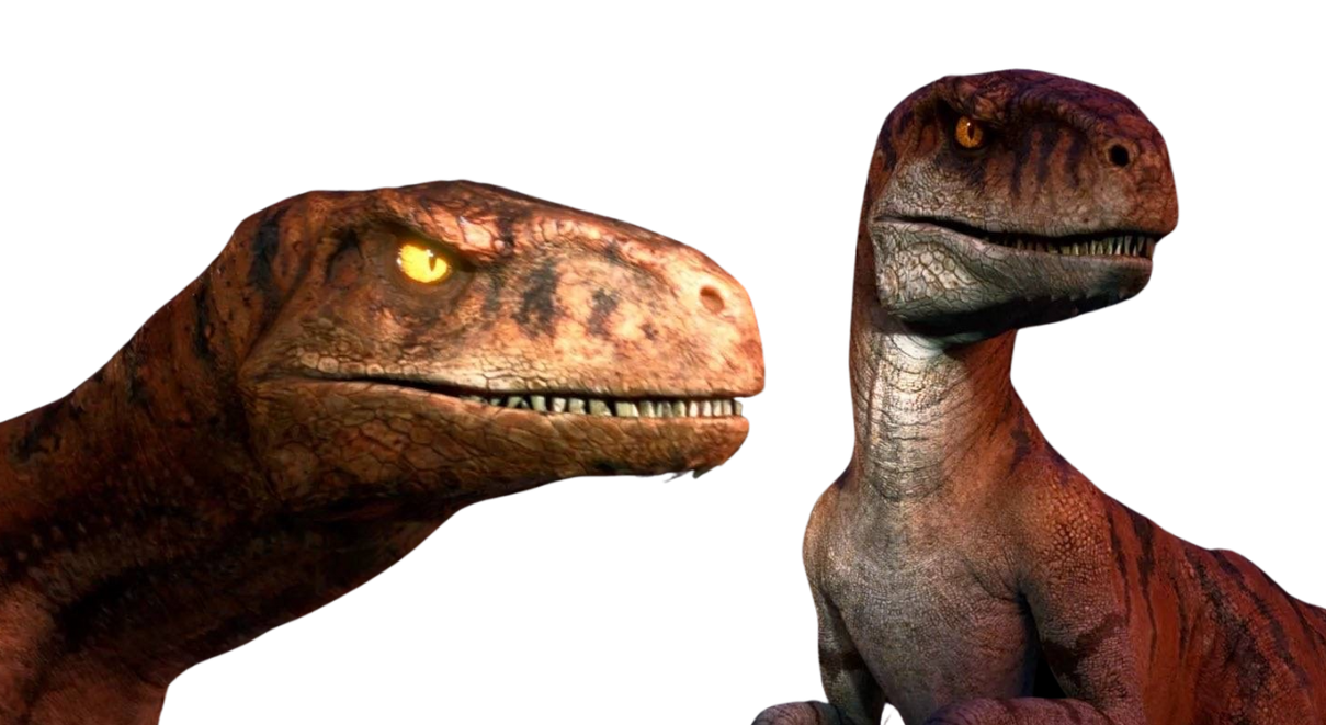 Raptors by DracoAwesomeness on DeviantArt