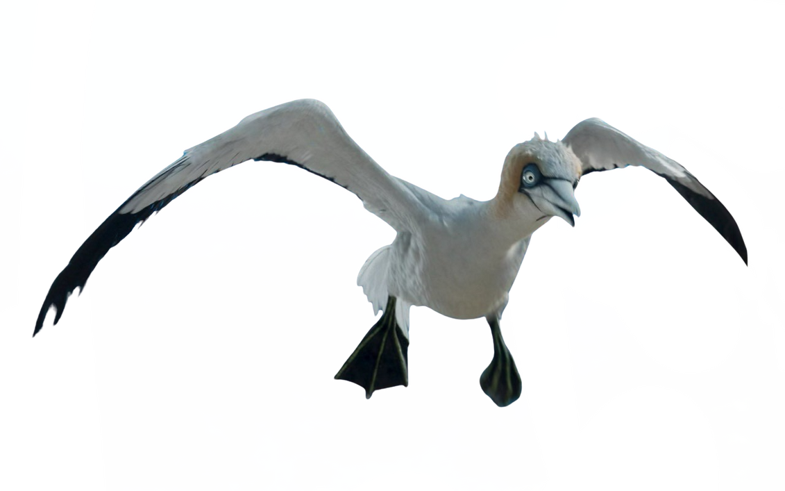 Scuttle Icon Scuttle by DracoAwesomeness on DeviantArt