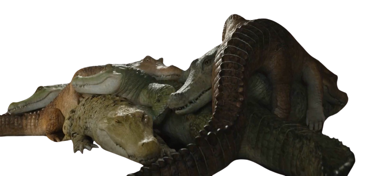 Creator Gator Gators by DracoAwesomeness on DeviantArt