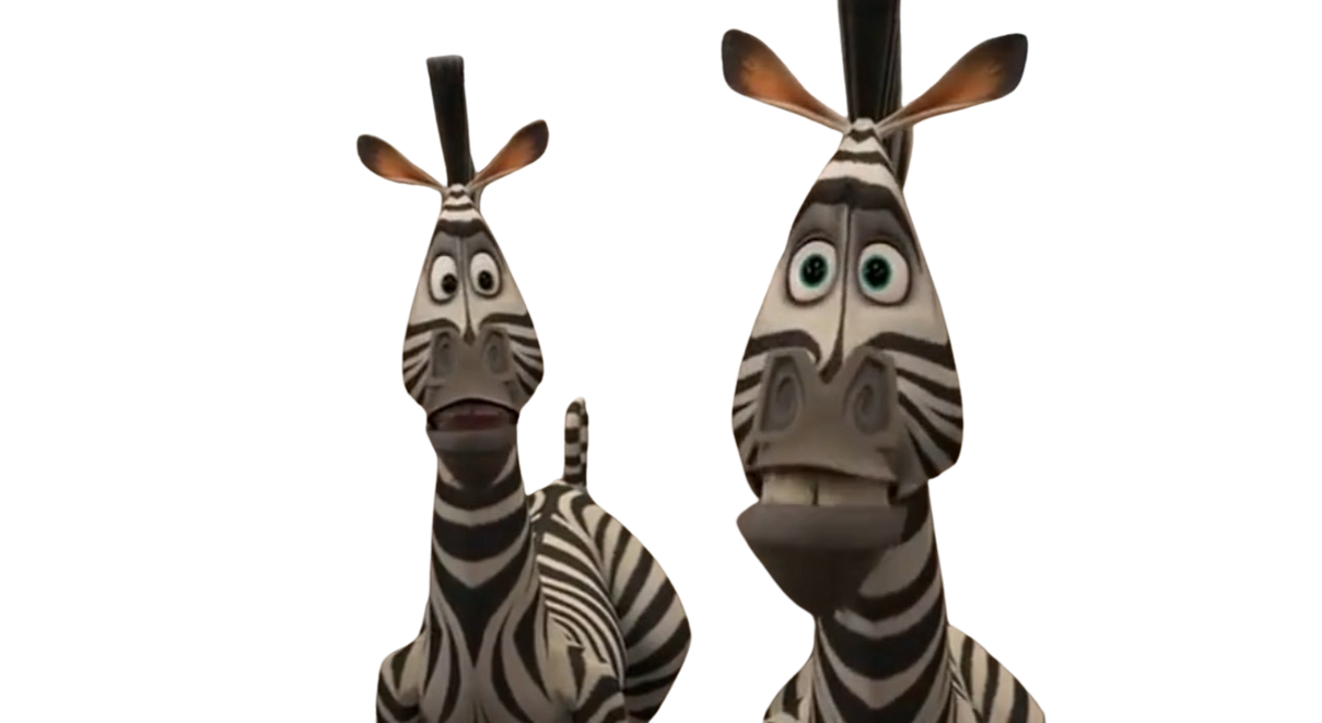 Marty and Zebra by DracoAwesomeness on DeviantArt