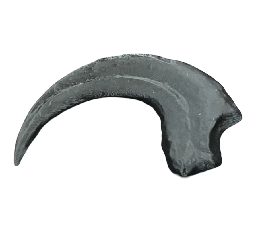Raptor claw by DracoAwesomeness on DeviantArt